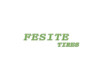 Fesite