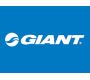 Giant